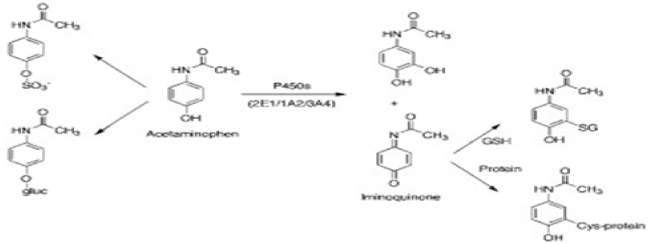 acetaminophen