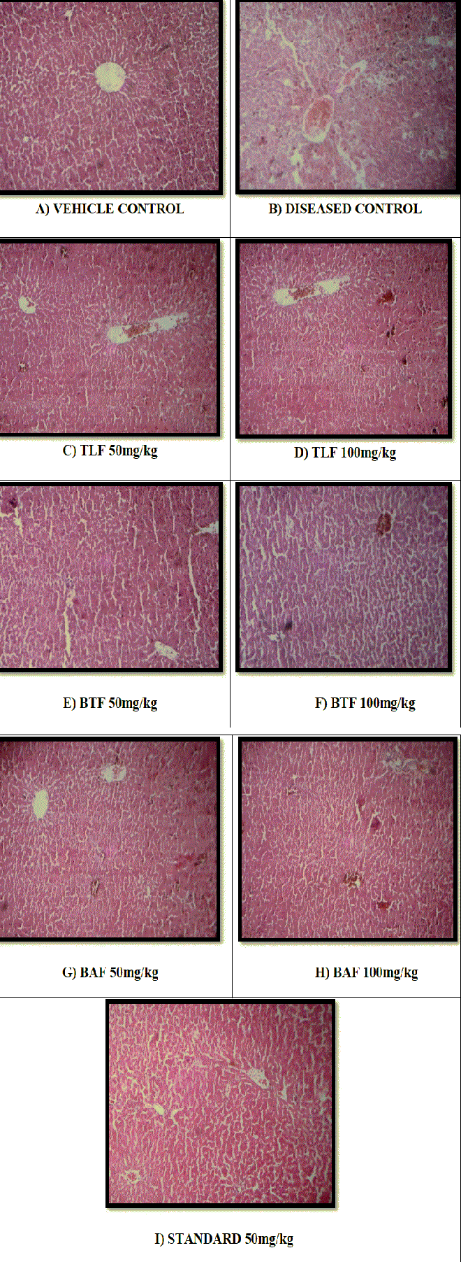 Histopathological