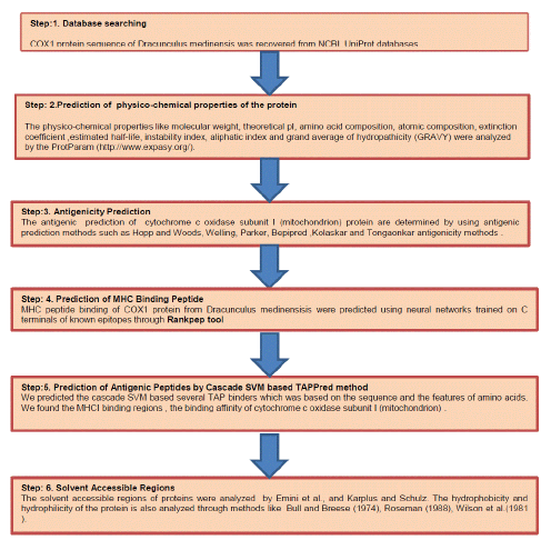 Methodology