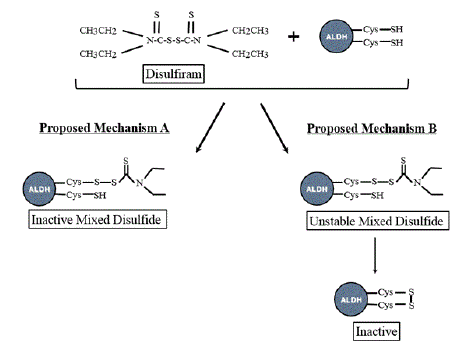 mechanisms