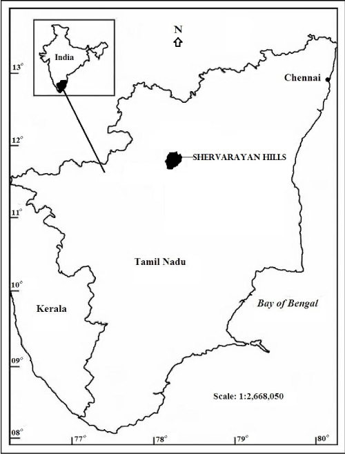 Location