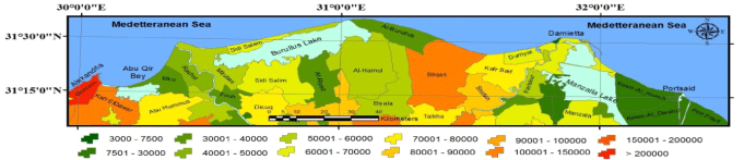 distribution