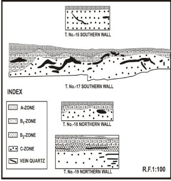 sections