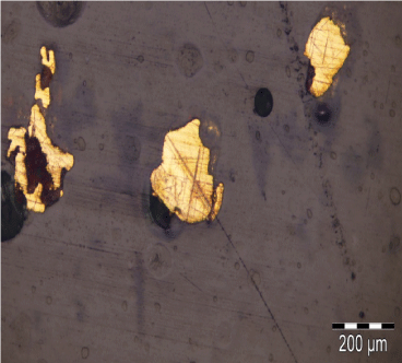 Photomicrograph
