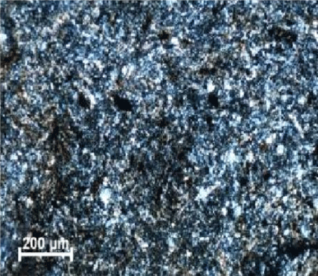 Photomicrograph