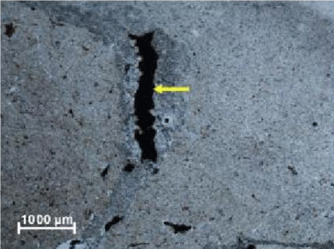 Photomicrograph