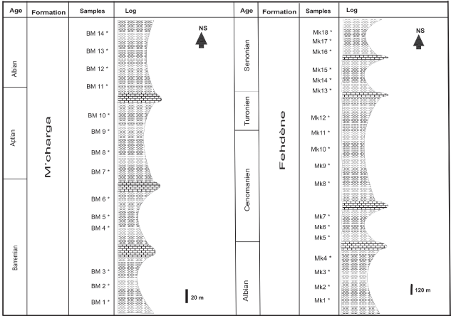 lithostratigraphic