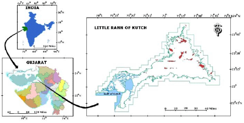 Location