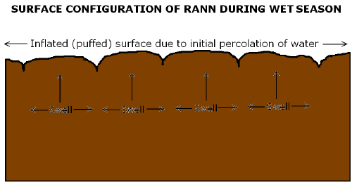 Surface