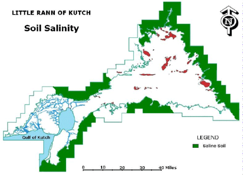 Salinity