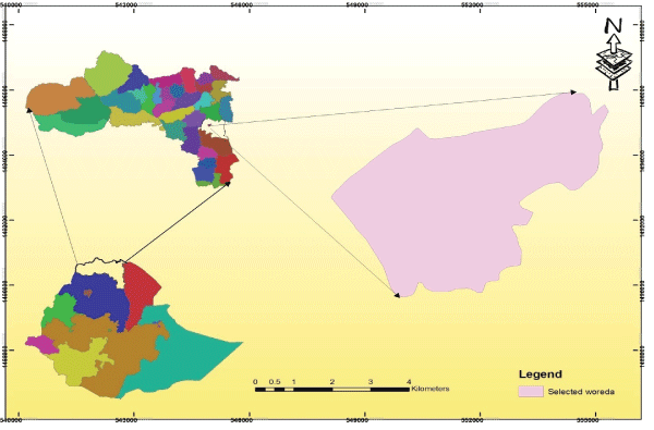 Location