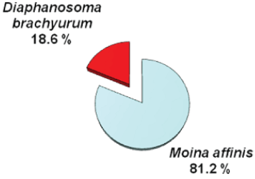 percentage