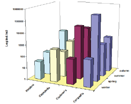 distribution
