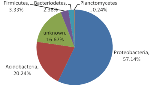 bacterial