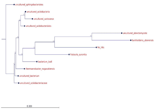 dendogram