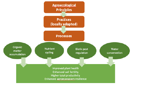 Agroecological