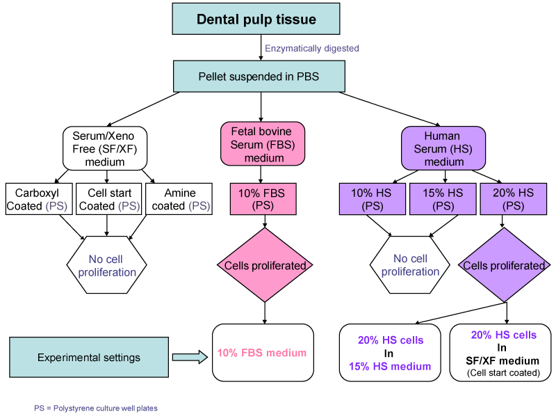 Tissue Culture Flow Chart