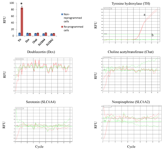 Dopaminergic