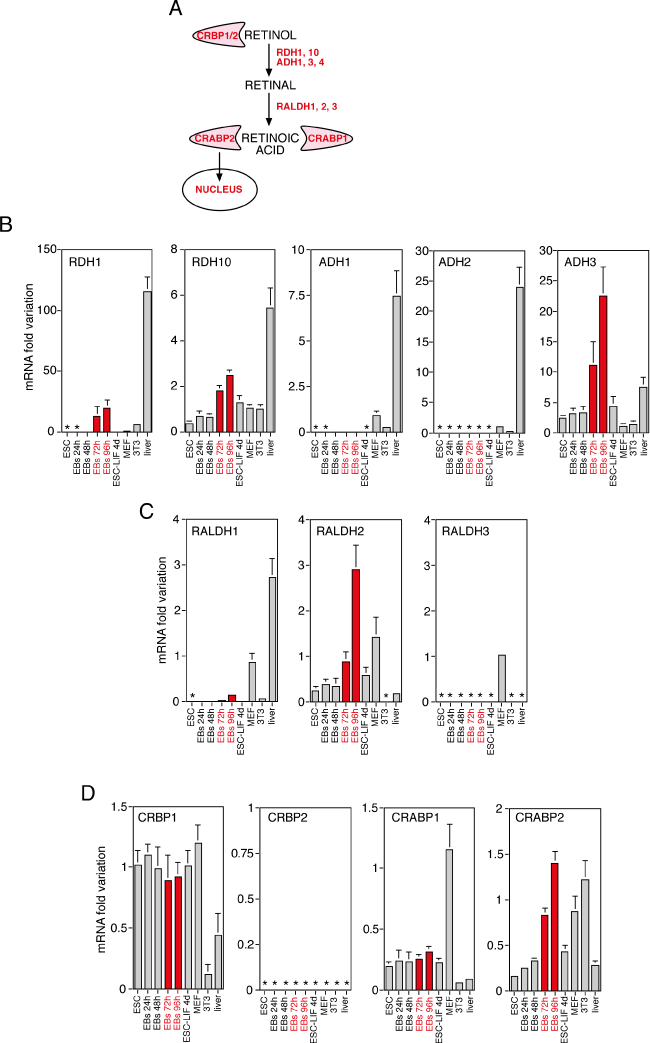  Expression analysis 
