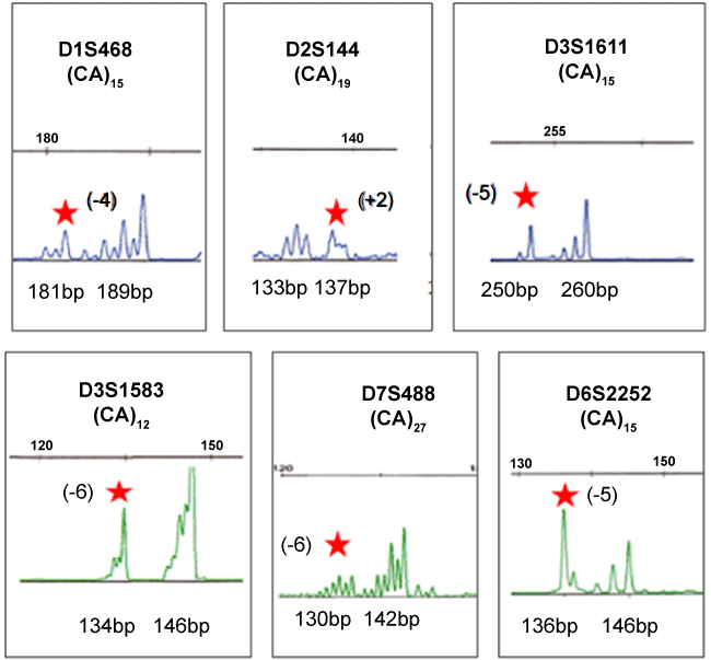 electropherograms