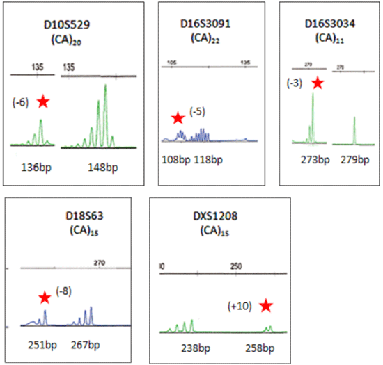 electropherograms