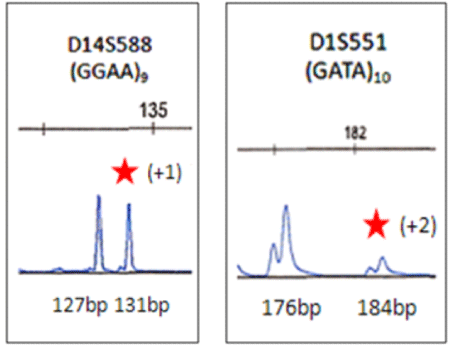 electropherograms