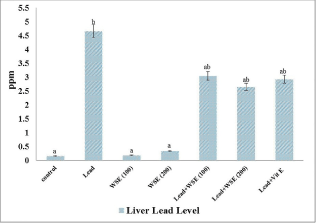 liver