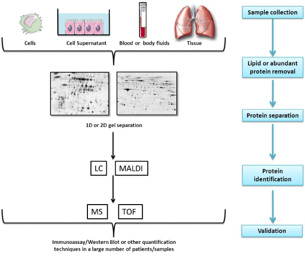 proteomics