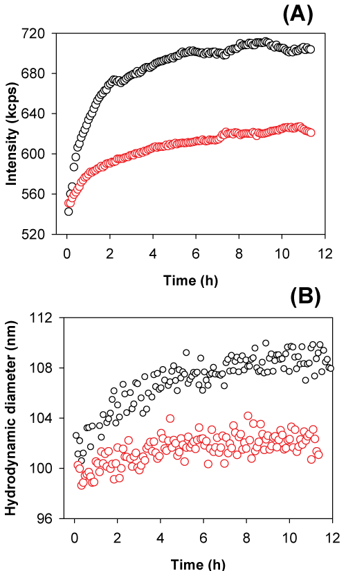 aggregation