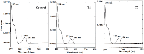 UV-Vis spectra 
