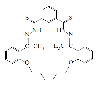 Synthesis