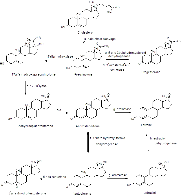 Biosynthesis