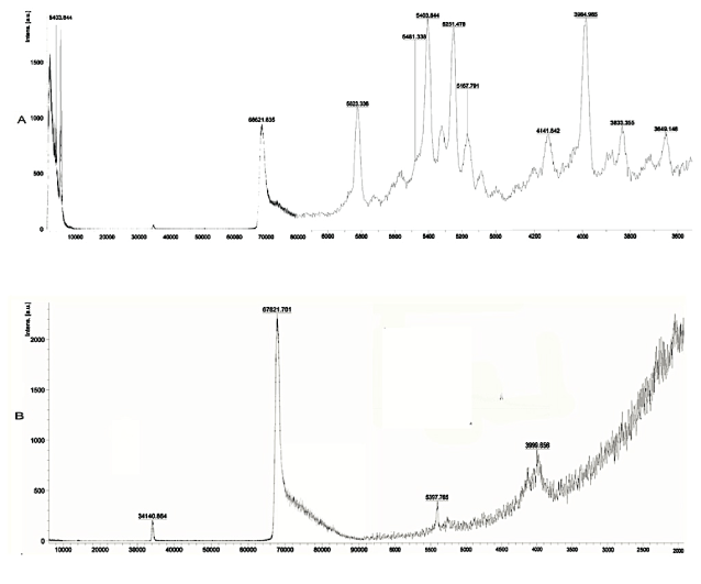 Chromatogram