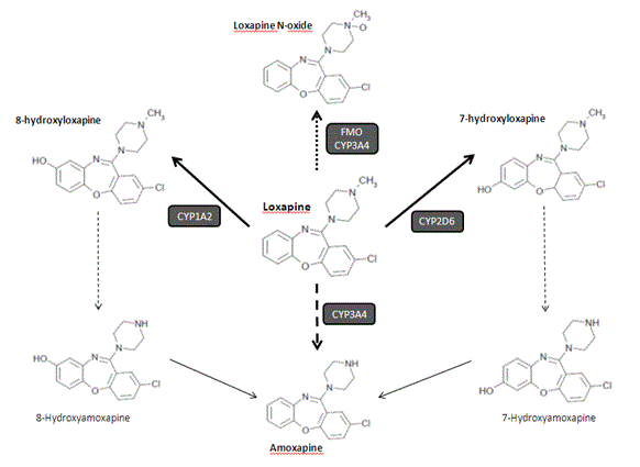 Metabolic