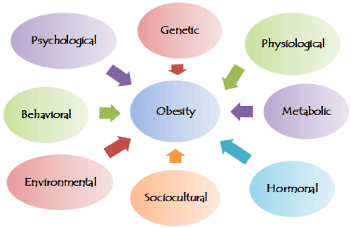 Factors