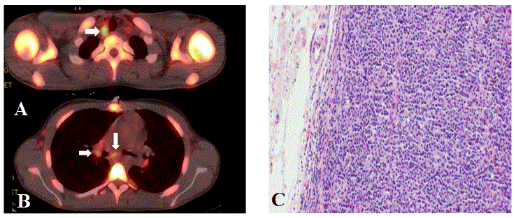 histology