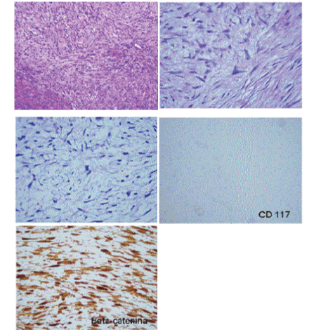 Histology
