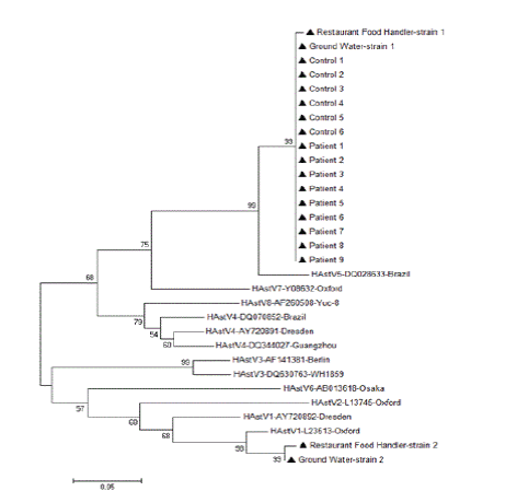 Phylogenetic