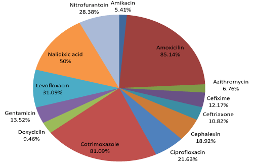 bacterial