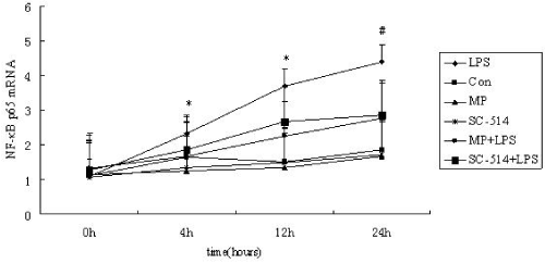 NF-κB p65 mRNA