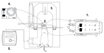 Microdialysis