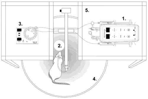 Microdialysis