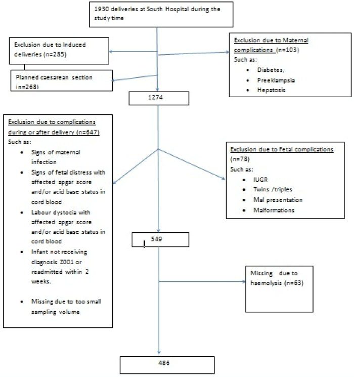 Induction Of Labour Flow Chart