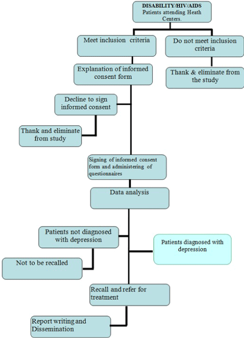 Data Collection Process Flow Chart