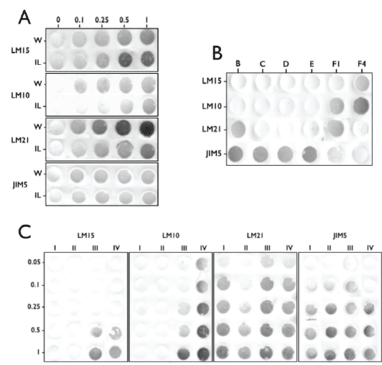 immundetection