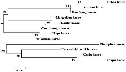 Jianchang