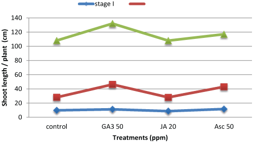 the effect of vitamin c on plant growth essay Vitamin c is also imperative because it assists in the growth of various body parts , c is important in the absorption and metabolism of many nutrients that affect similar to its importance to humans, vitamin c is vital for plant life as well. the effect of vitamin c on plant growth essay Vitamin c is also imperative because it assists in the growth of various body parts , c is important in the absorption and metabolism of many nutrients that affect similar to its importance to humans, vitamin c is vital for plant life as well.