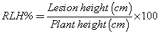 Equation
