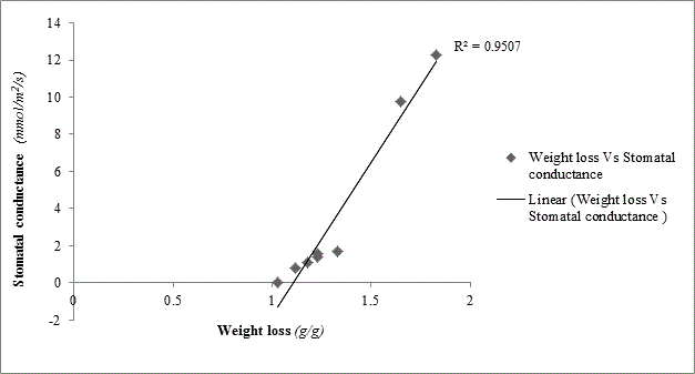 weight