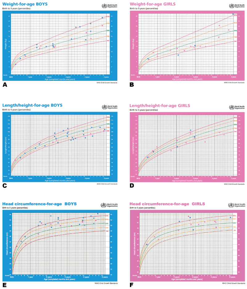 Who Growth Chart Weight For Age 5 19 Years